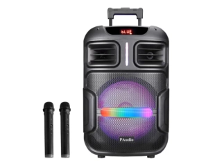 Караоке светеща тонколона WVNGR  BT-1200 12 инча