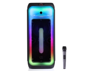 Караоке светеща тонколона WVNGR DR-1028 2x10.5 инча