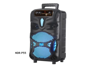 Караоке тонколона с Bluetooth NDR-P55 8'' и микрофон